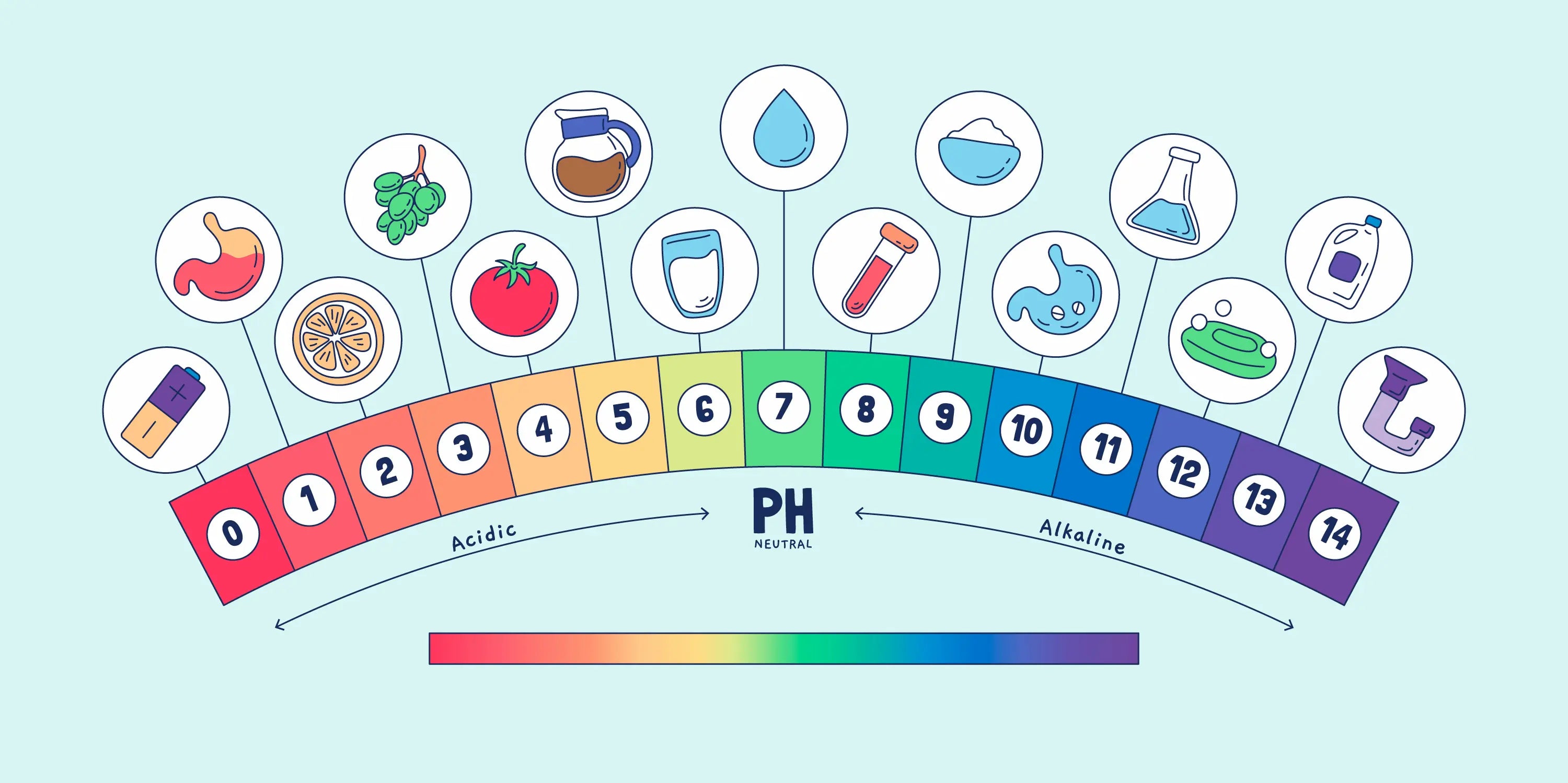 Low pH vs Alkaline Cleansers: What Your Skin Actually Needs