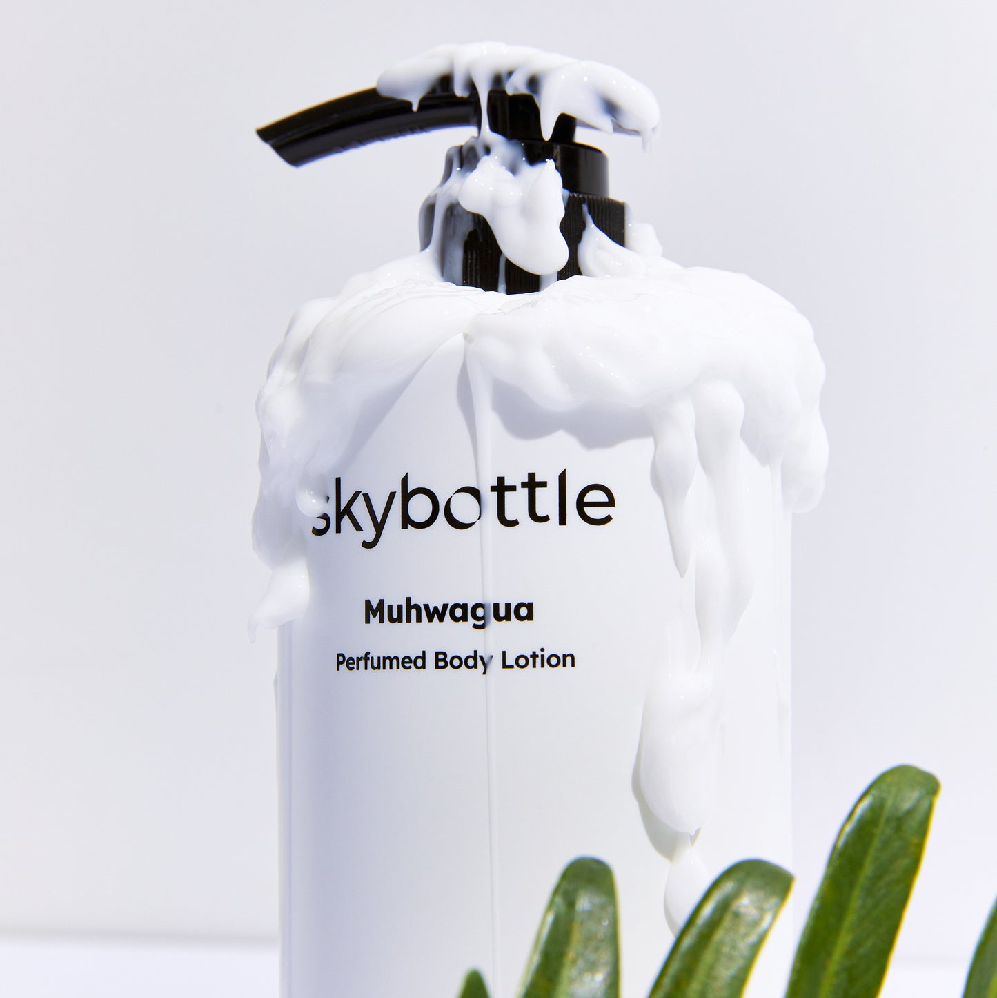 Everything Body Care