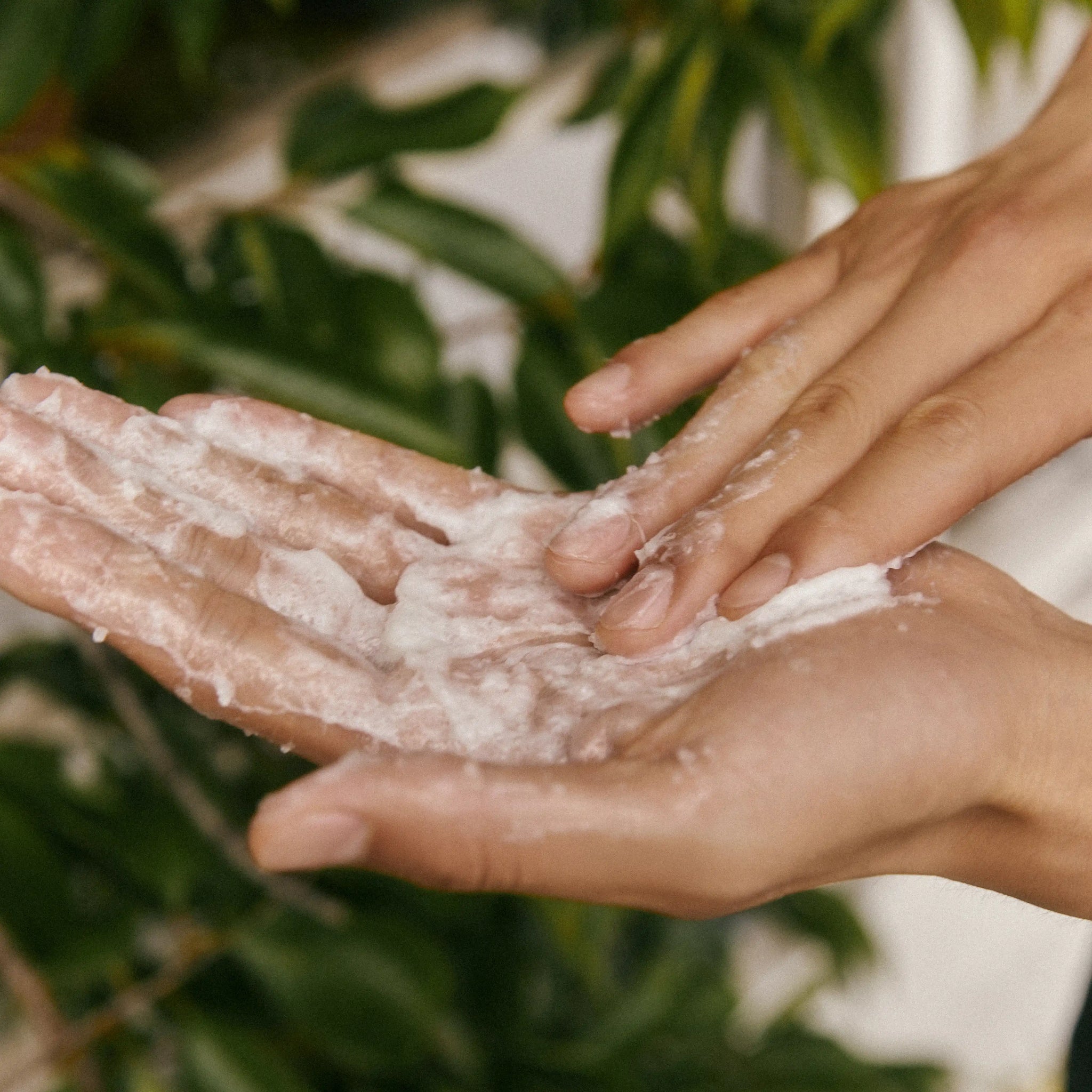 Aromatica Rosemary Salt Scrub Shampoo rubbed on palm showing scrub particles