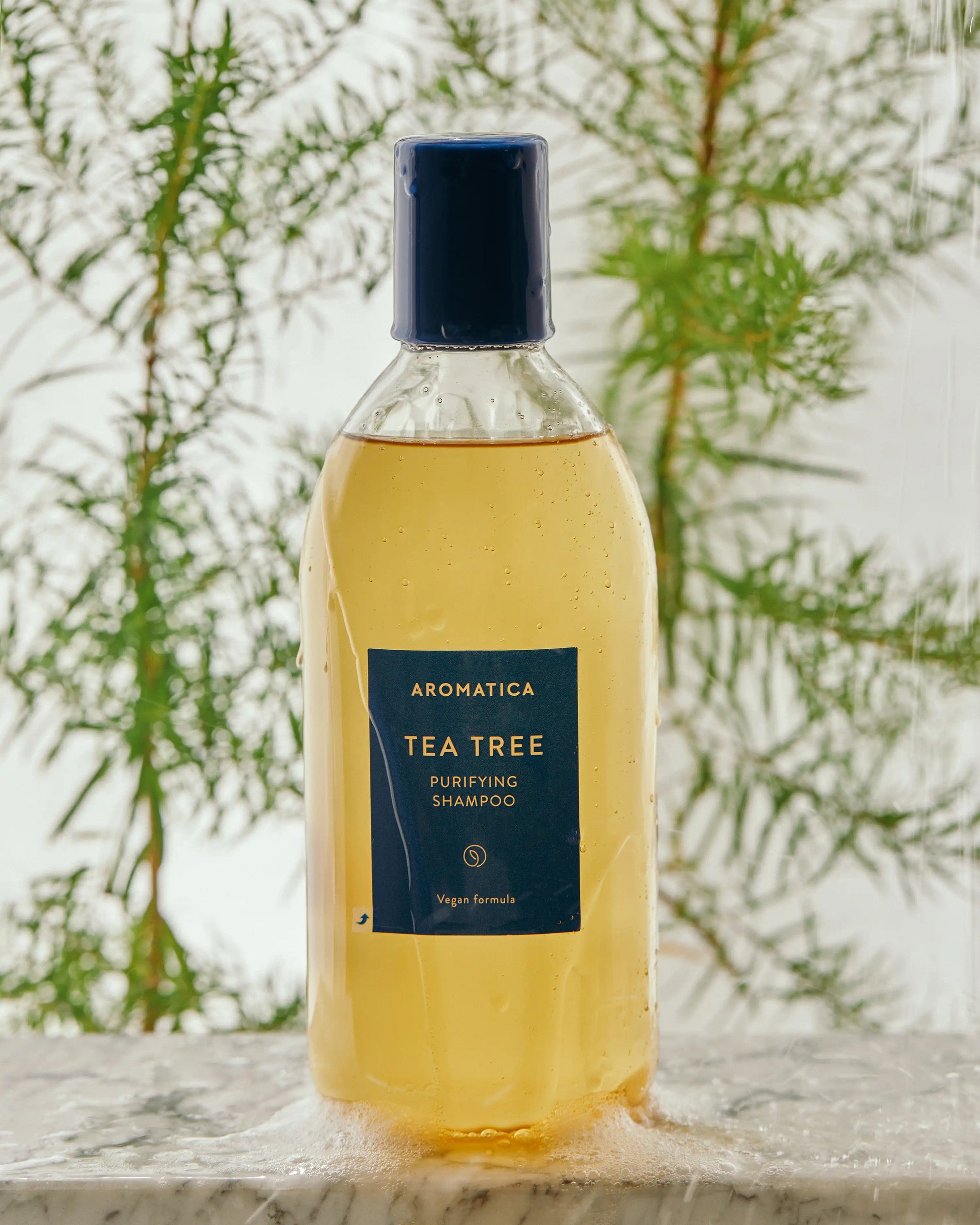 Aromatica Tea Tree Purifying Shampoo bottle in natural setting