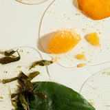 One Thing Houttuynia Serum with raw ingredients